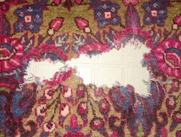 Tappeto persiano prima del restauro Roma